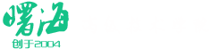 曙海培訓(xùn)，工程師的項(xiàng)目導(dǎo)師